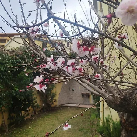 Il Borgo Del Sole * Villasimius